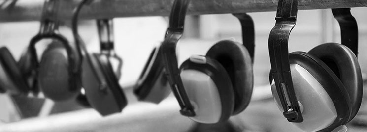 Ear muffs